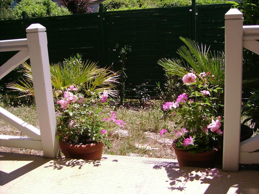 Villa Surprise Arcachon Værelse billede